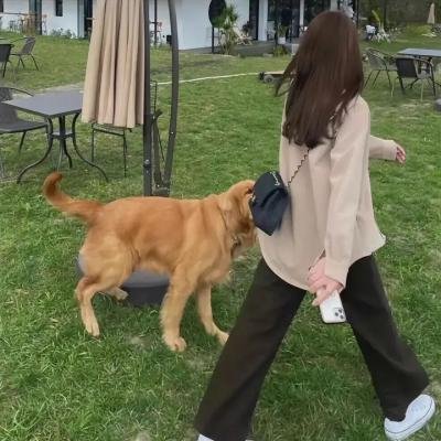 曾几何时天魔的黑兔