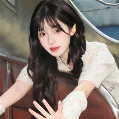 猫头鹰与小飞象